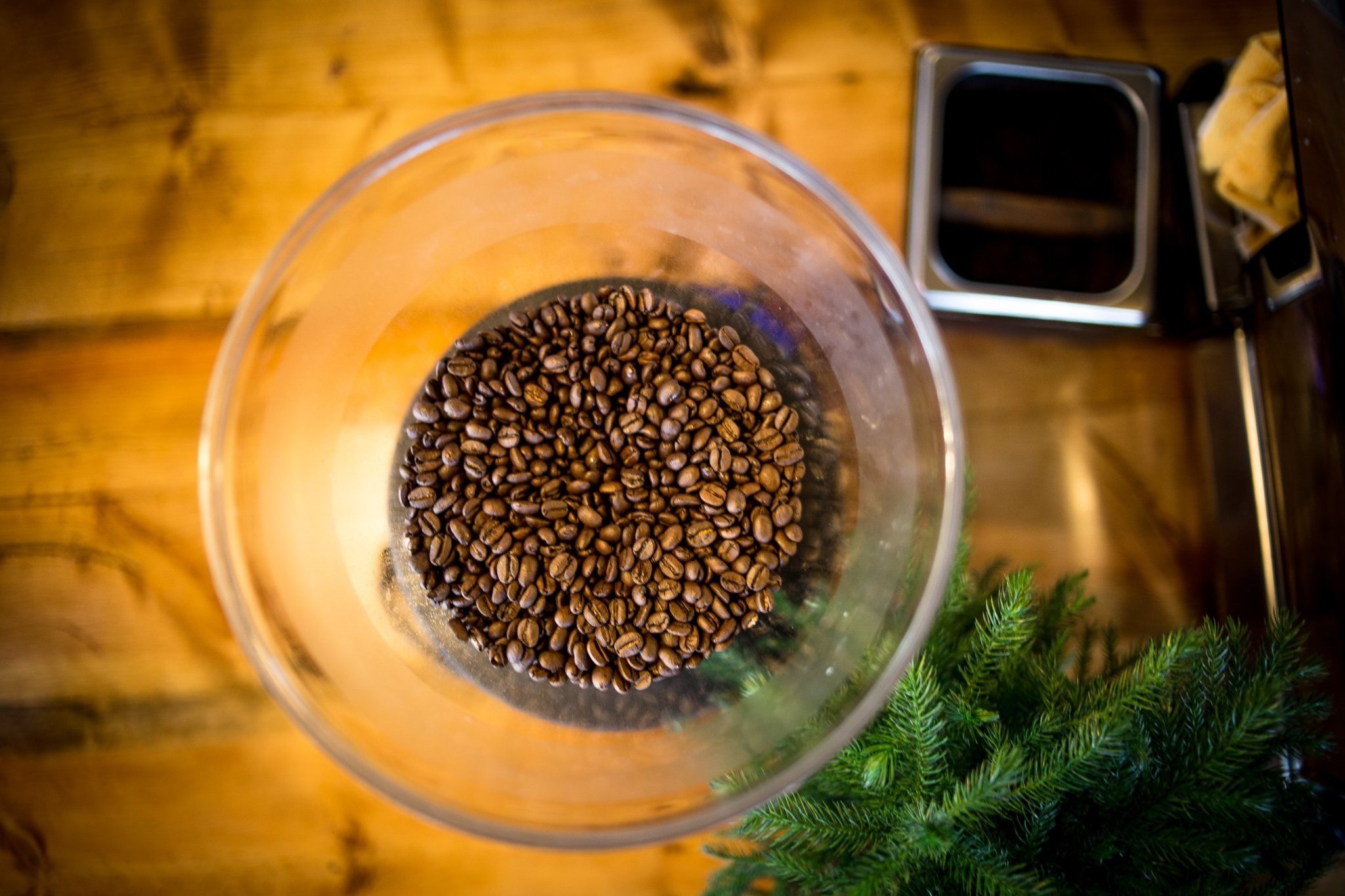 Fresh roasted coffee beans in hopper